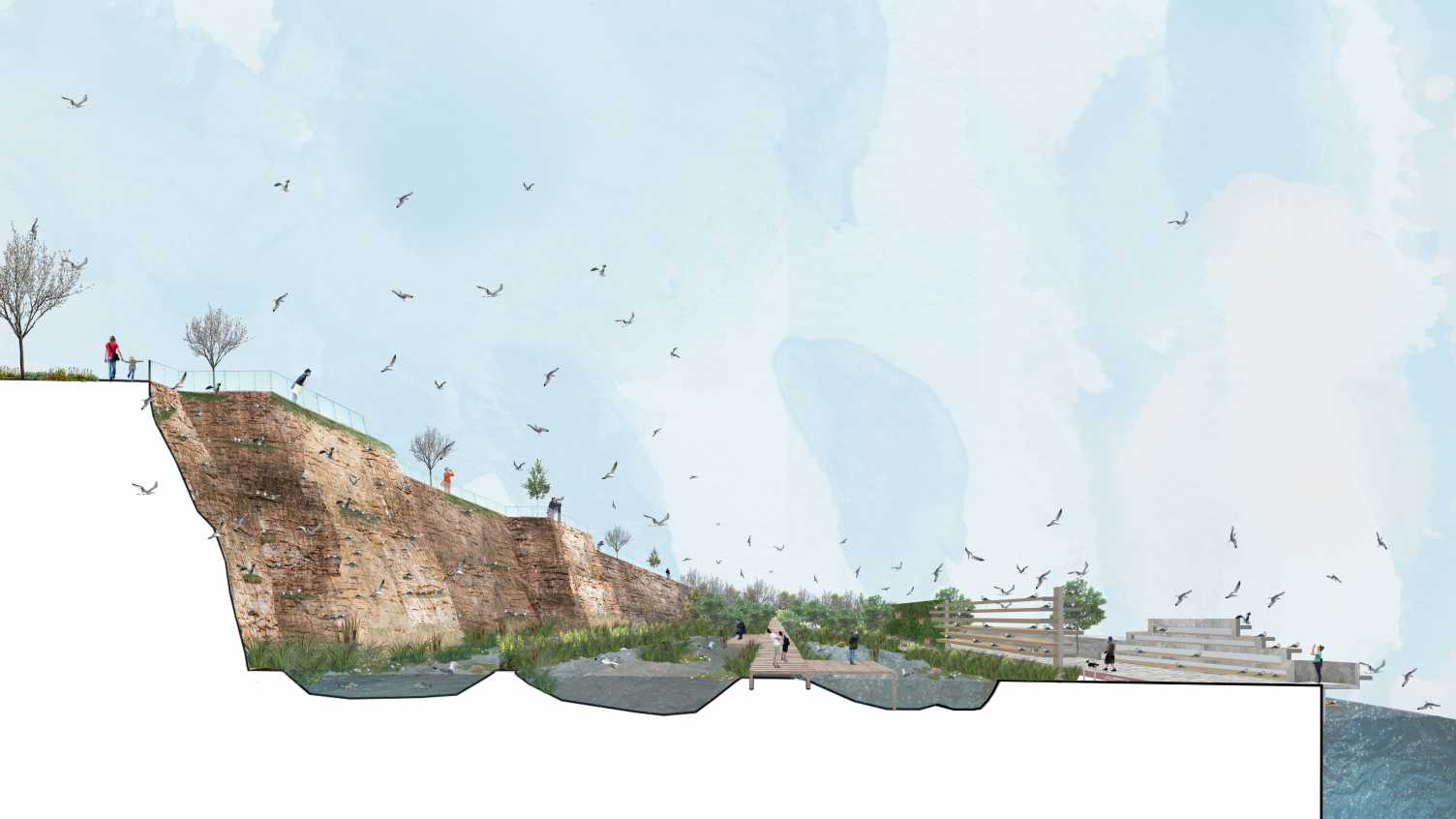 Thumbnail for Anastasia wins LDA Design bursary for Kittiwake project | Landscape